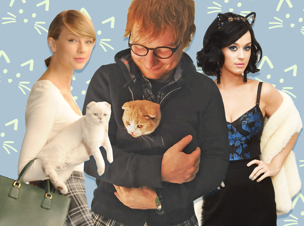 E-Comm: National Kitten Day, Taylor Swift, Ed Sheeran Katy Perry